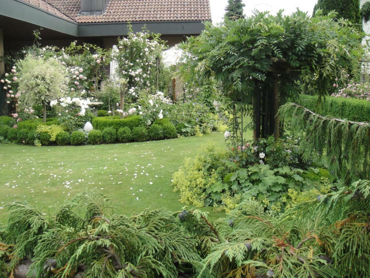 Charming And Cosy Apartment Near Lucerne Romerswil Exteriér fotografie